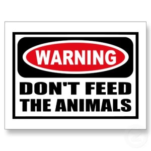 don't feed