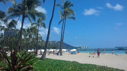 IMG_20131001_140659_924