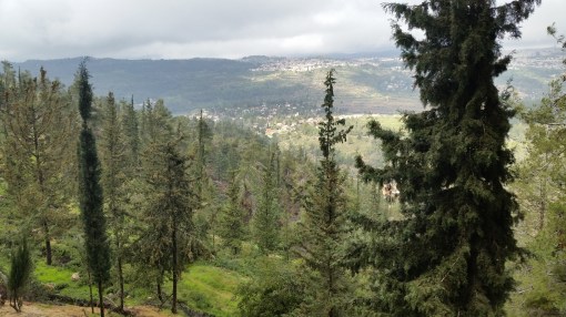 View from Yad Vashem 