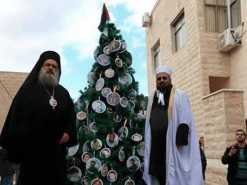 Gaza Tree Screen-Shot-2015-12-08-at-13.40.33-640x480