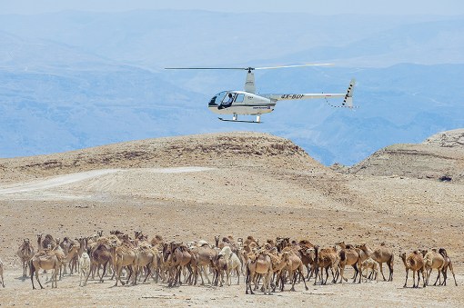 Ancient and Modern Israel