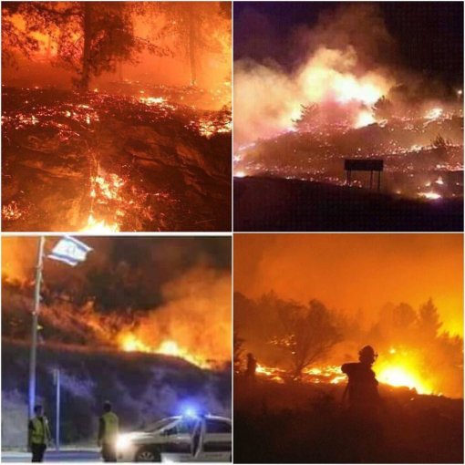israel-wild-fires