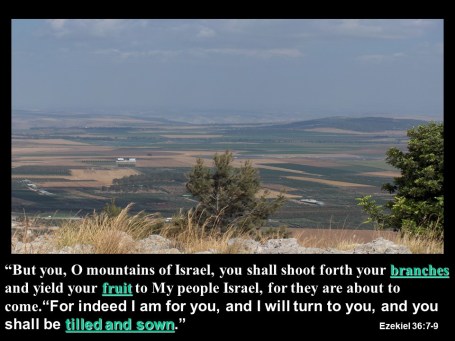 Prophesy To The Land! 4