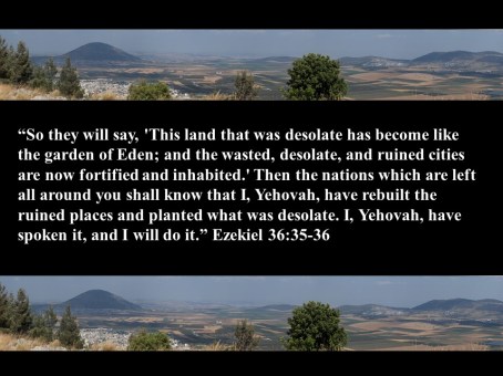 Prophesy To The Land! 6 jpg