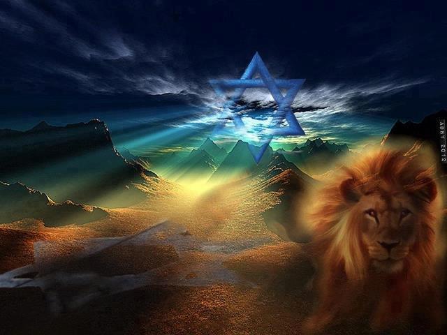 536748_385193128190099_100000982451242_1074228_1062423626_n