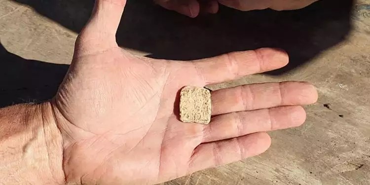 Joshua altar talisman-750x375