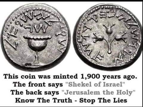 Rare coin 2nd templeFB_IMG_1643209701780